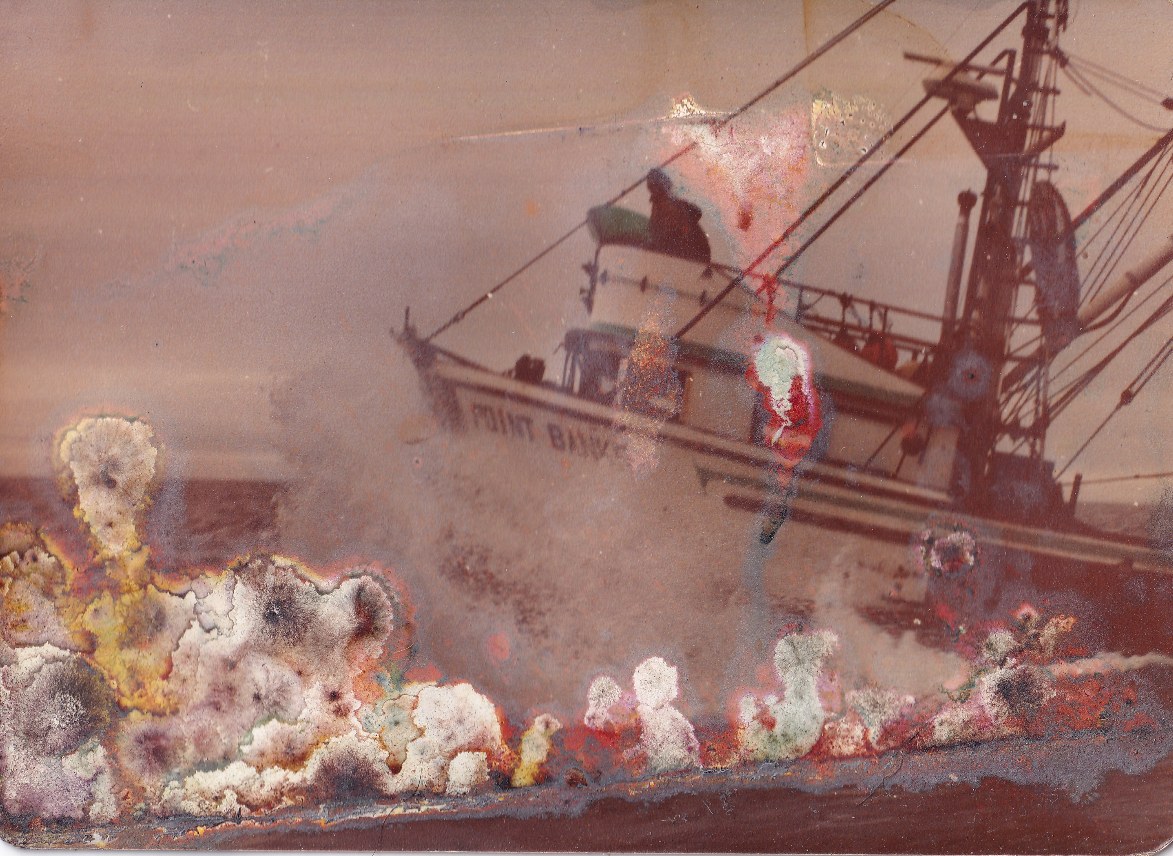 Original Point Banks photo